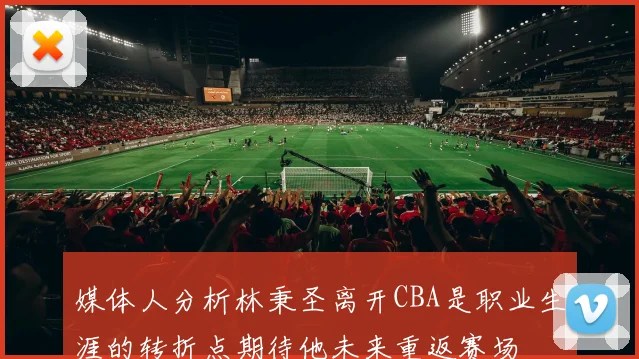 媒体人分析林秉圣离开CBA是职业生涯的转折点期待他未来重返赛场