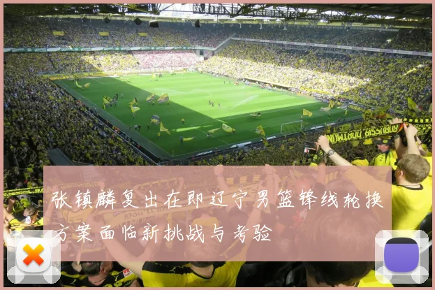 张镇麟复出在即辽宁男篮锋线轮换方案面临新挑战与考验