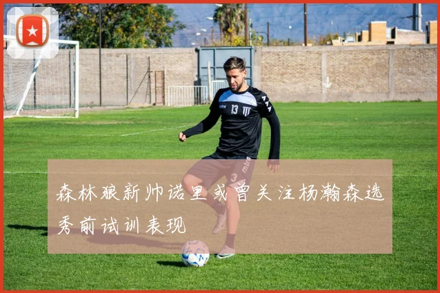 森林狼新帅诺里或曾关注杨瀚森选秀前试训表现